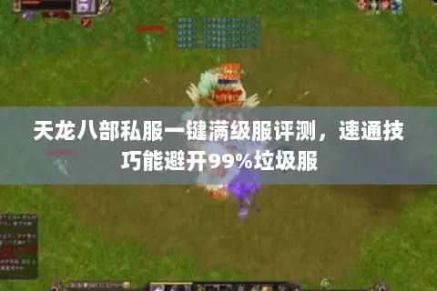 天龙八部私服一键满级服评测,速通技巧能避开99%垃圾服 天龙八部私服一键满级服评测,速通技巧能避开99%垃圾服
