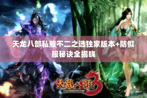 天龙八部私服不二之选独家版本+防假服秘诀全揭晓 天龙八部私服不二之选独家版本+防假服秘诀全揭晓