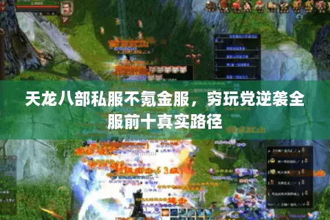 天龙八部私服不氪金服，穷玩党逆袭全服前十真实路径