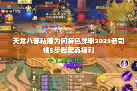 天龙八部私服为何特色鲜明2025老司机5步锁定真福利 天龙八部私服为何特色鲜明2025老司机5步锁定真福利