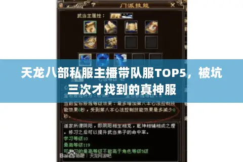 天龙八部私服主播带队服TOP5,被坑三次才找到的真神服 天龙八部私服主播带队服TOP5,被坑三次才找到的真神服