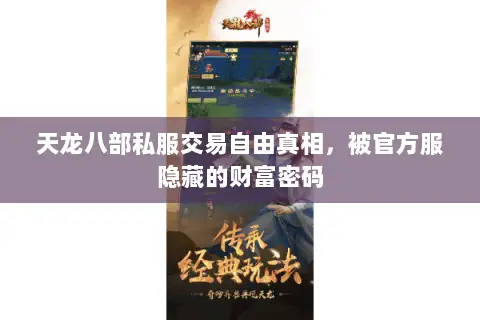 天龙八部私服交易自由真相,被官方服隐藏的财富密码 天龙八部私服交易自由真相,被官方服隐藏的财富密码