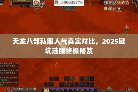 天龙八部私服人气真实对比，2025避坑选服终极秘笈