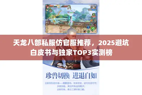 天龙八部私服仿官服推荐,2025避坑白皮书与独家TOP3实测榜 天龙八部私服仿官服推荐,2025避坑白皮书与独家TOP3实测榜