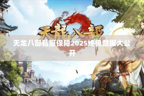 天龙八部私服保障2025终极数据大公开 天龙八部私服保障2025终极数据大公开