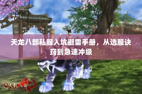 天龙八部私服入坑避雷手册,从选服诀窍到急速冲级 天龙八部私服入坑避雷手册,从选服诀窍到急速冲级