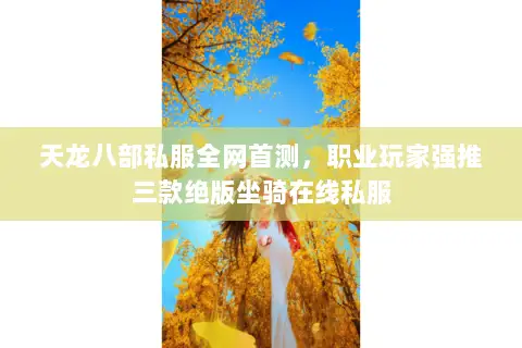 天龙八部私服全网首测，职业玩家强推三款绝版坐骑在线私服