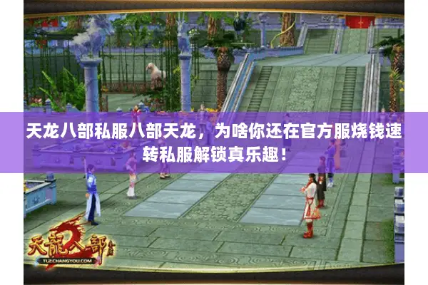天龙八部私服八部天龙，为啥你还在官方服烧钱速转私服解锁真乐趣！