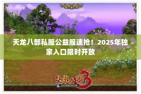 天龙八部私服公益服速抢!2025年独家入口限时开放 天龙八部私服公益服速抢!2025年独家入口限时开放