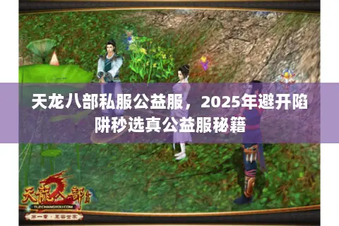 天龙八部私服公益服,2025年避开陷阱秒选真公益服秘籍 天龙八部私服公益服,2025年避开陷阱秒选真公益服秘籍