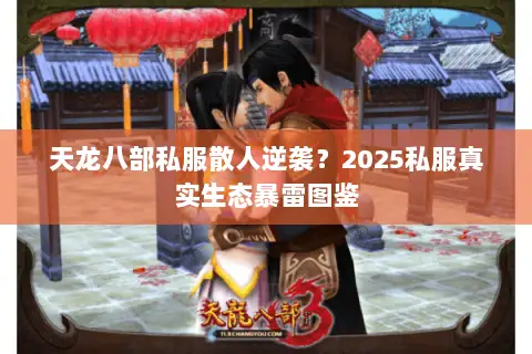 天龙八部私服散人逆袭?2025私服真实生态暴雷图鉴 天龙八部私服散人逆袭?2025私服真实生态暴雷图鉴
