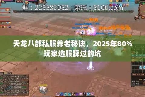天龙八部私服养老秘诀,2025年80%玩家选服踩过的坑 天龙八部私服养老秘诀,2025年80%玩家选服踩过的坑