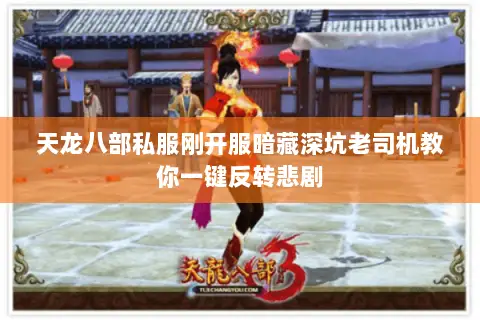天龙八部私服刚开服暗藏深坑老司机教你一键反转悲剧 天龙八部私服刚开服暗藏深坑老司机教你一键反转悲剧