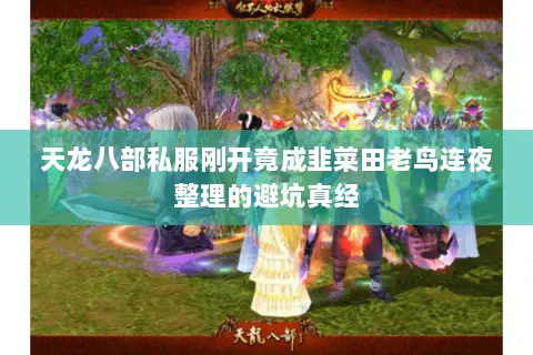 天龙八部私服刚开竟成韭菜田老鸟连夜整理的避坑真经 天龙八部私服刚开竟成韭菜田老鸟连夜整理的避坑真经