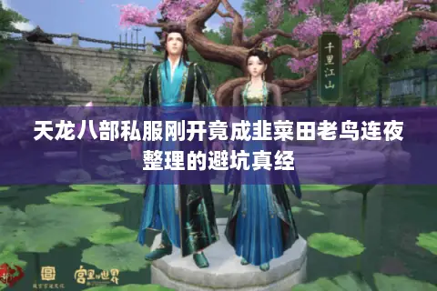 天龙八部私服刚开竟成韭菜田老鸟连夜整理的避坑真经 天龙八部私服刚开竟成韭菜田老鸟连夜整理的避坑真经