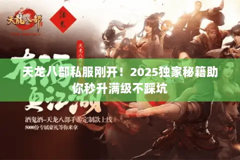 天龙八部私服刚开！2025独家秘籍助你秒升满级不踩坑