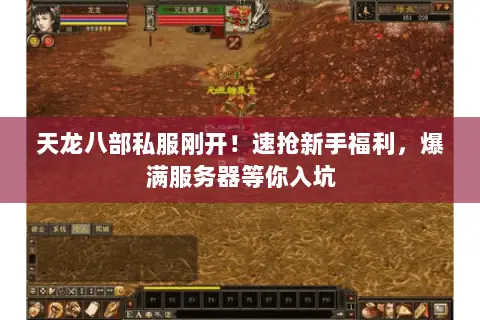 天龙八部私服刚开！速抢新手福利，爆满服务器等你入坑