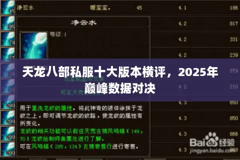 天龙八部私服十大版本横评，2025年巅峰数据对决