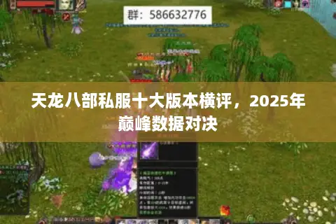 天龙八部私服十大版本横评，2025年巅峰数据对决