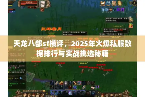 天龙八部sf横评，2025年火爆私服数据排行与实战挑选秘籍