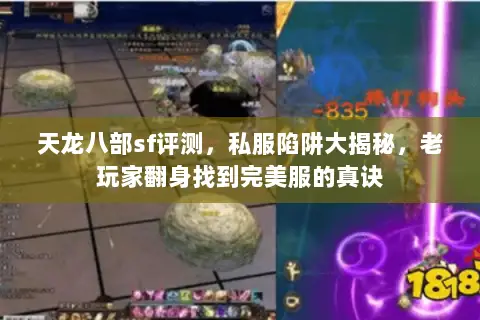 天龙八部sf评测,私服陷阱大揭秘,老玩家翻身找到完美服的真诀 天龙八部sf评测,私服陷阱大揭秘,老玩家翻身找到完美服的真诀