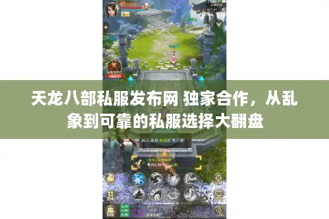 天龙八部私服发布网 独家合作，从乱象到可靠的私服选择大翻盘