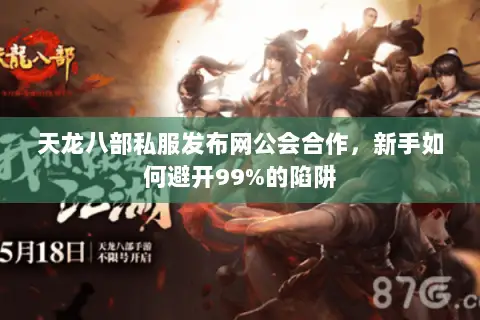 天龙八部私服发布网公会合作,新手如何避开99%的陷阱 天龙八部私服发布网公会合作,新手如何避开99%的陷阱