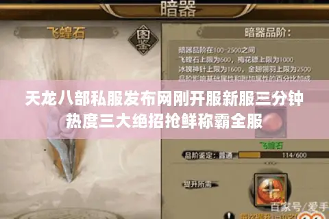 天龙八部私服发布网刚开服新服三分钟热度三大绝招抢鲜称霸全服 天龙八部私服发布网刚开服新服三分钟热度三大绝招抢鲜称霸全服