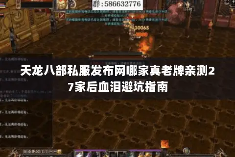 天龙八部私服发布网哪家真老牌亲测27家后血泪避坑指南