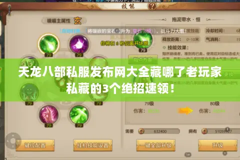 天龙八部私服发布网大全藏哪了老玩家私藏的3个绝招速领！