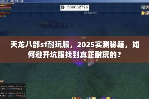 天龙八部sf耐玩服,2025实测秘籍,如何避开坑服找到真正耐玩的? 天龙八部sf耐玩服,2025实测秘籍,如何避开坑服找到真正耐玩的?