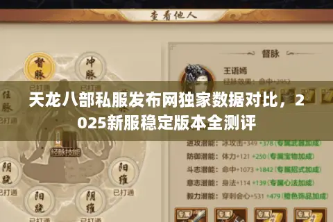 天龙八部私服发布网独家数据对比,2025新服稳定版本全测评 天龙八部私服发布网独家数据对比,2025新服稳定版本全测评