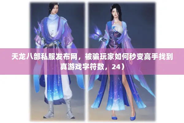 天龙八部私服发布网，被骗玩家如何秒变高手找到真游戏字符数，24）