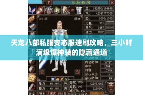 天龙八部私服变态服速刷攻略，三小时满级爆神装的隐藏通道