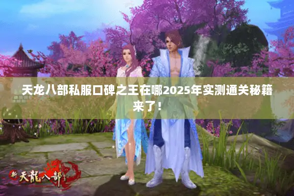 天龙八部私服口碑之王在哪2025年实测通关秘籍来了！