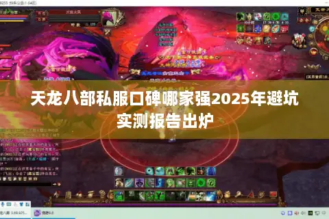 天龙八部私服口碑哪家强2025年避坑实测报告出炉 天龙八部私服口碑哪家强2025年避坑实测报告出炉
