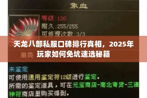 天龙八部私服口碑排行真相，2025年玩家如何免坑速选秘籍
