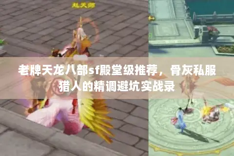 老牌天龙八部sf殿堂级推荐,骨灰私服猎人的精调避坑实战录 老牌天龙八部sf殿堂级推荐,骨灰私服猎人的精调避坑实战录