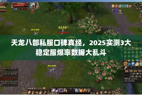 天龙八部私服口碑真经，2025实测3大稳定服爆率数据大乱斗