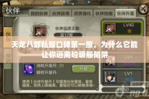 天龙八部私服口碑第一服,为什么它能让你远离垃圾服陷阱 天龙八部私服口碑第一服,为什么它能让你远离垃圾服陷阱