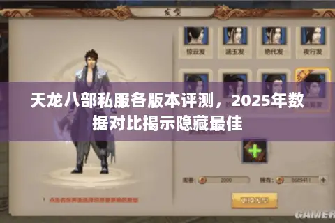 天龙八部私服各版本评测,2025年数据对比揭示隐藏最佳 天龙八部私服各版本评测,2025年数据对比揭示隐藏最佳