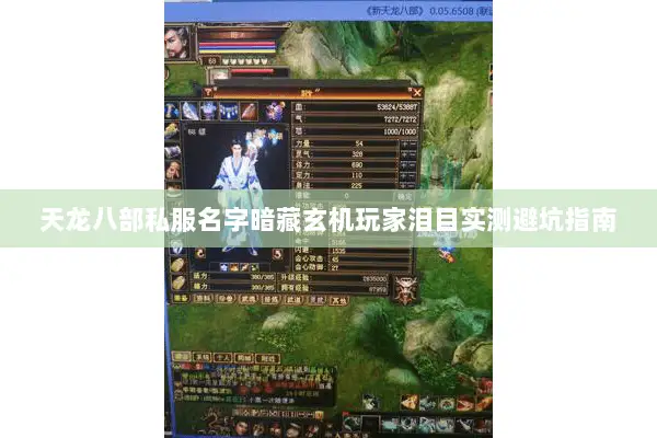 天龙八部私服名字暗藏玄机玩家泪目实测避坑指南 天龙八部私服名字暗藏玄机玩家泪目实测避坑指南