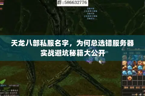天龙八部私服名字，为何总选错服务器实战避坑秘籍大公开