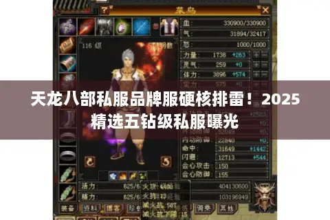 天龙八部私服品牌服硬核排雷！2025精选五钻级私服曝光