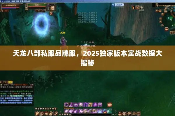 天龙八部私服品牌服,2025独家版本实战数据大揭秘 天龙八部私服品牌服,2025独家版本实战数据大揭秘