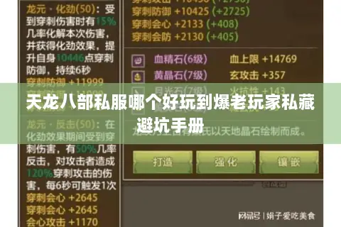 天龙八部私服哪个好玩到爆老玩家私藏避坑手册