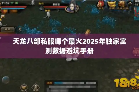 天龙八部私服哪个最火2025年独家实测数据避坑手册