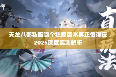 天龙八部私服哪个独家版本真正值得玩2025深度实测解析 天龙八部私服哪个独家版本真正值得玩2025深度实测解析