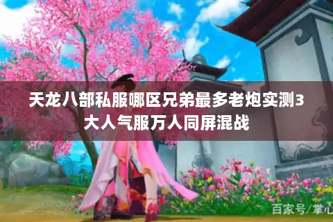 天龙八部私服哪区兄弟最多老炮实测3大人气服万人同屏混战