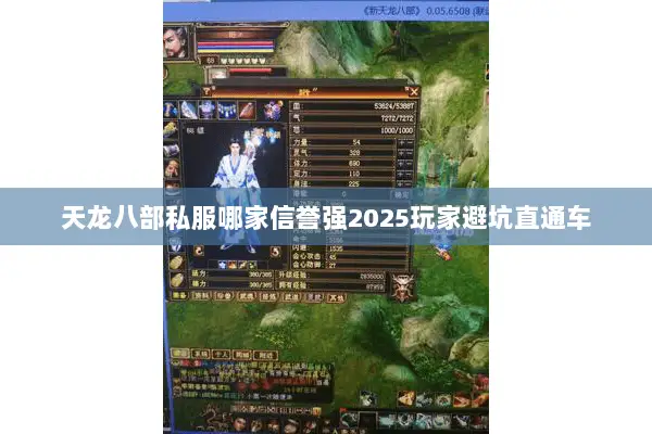 天龙八部私服哪家信誉强2025玩家避坑直通车 天龙八部私服哪家信誉强2025玩家避坑直通车